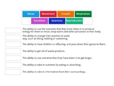 Mrs gren - Teaching resources