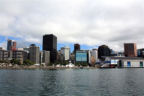 Wellington City Skyline New Zealand photo