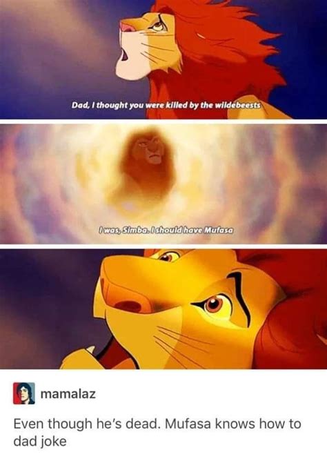 The best Mufasa memes :) Memedroid