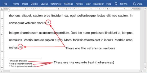 How to insert Endnote in word (Step-by-Step) - Software Accountant