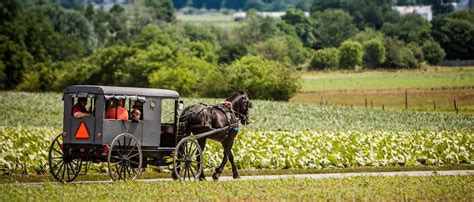 A is for Amish Buggy Rides | Things to Do | LancasterPA.com