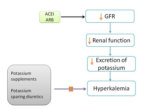 slsi.lk - how long for sulfatrim to work | Ace inhibitors cause high potassium levels have