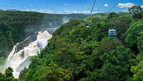 Skyrail Rainforest Cableway - Business Events Cairns