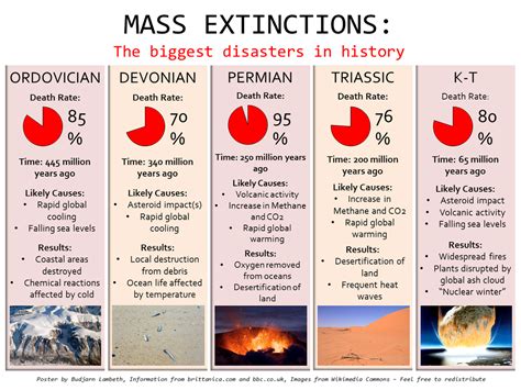 Largest Mass Extinction