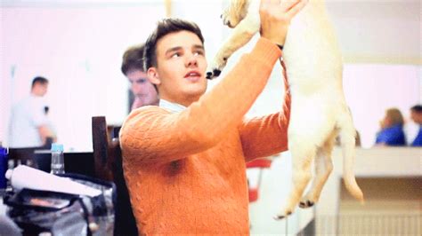 Cute AF Proof That Liam Payne Might Just Be An Animal Whisperer