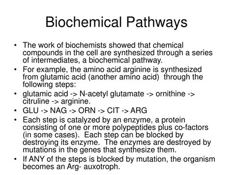 PPT - Biochemical Pathways PowerPoint Presentation, free download - ID ...