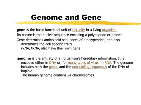 PPT - Structure and function of genome PowerPoint Presentation, free download - ID:6454661