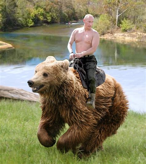 Vlad Putin Riding A Bear