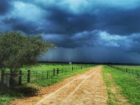 Good Morning from the Trinity River Bottom. Photo by Caleb Rhone (@dayworkcowboy) Houston County ...