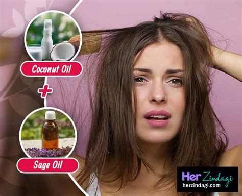 coconut oil home remedies for hair loss dandruff lice | coconut oil home remedies for hair loss ...