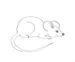 Mouse Drawing & Sketches For Kids - Kids Art & Craft