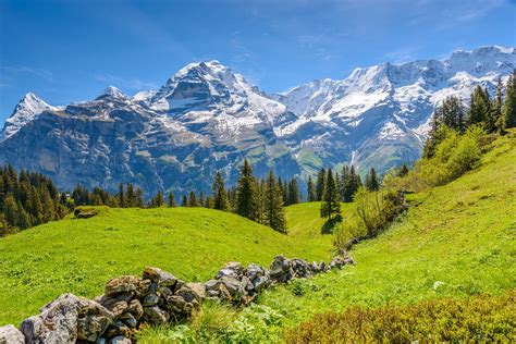 Senderismo en los Alpes suizos. Oberland Bernés - Muntania, Agencia de viajes de montaña