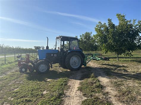 We conduct practical training before the start of the walnut harvesting ...