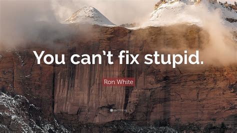 Ron White Quote: “You can’t fix stupid.” (12 wallpapers) - Quotefancy