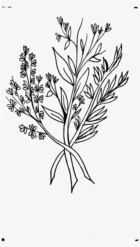 Beautiful Flowers 2019 » Wild Flower Drawing - Wild Flowers Png Drawing - Free Transparent PNG ...