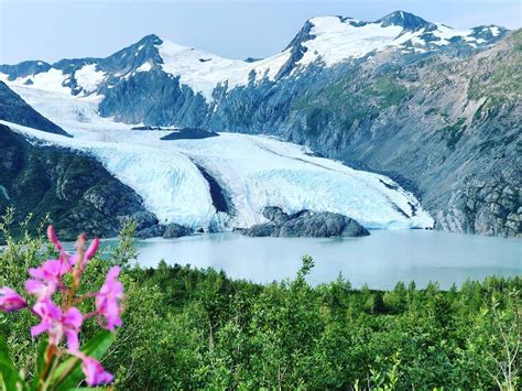 Portage Glacier Area, AK | Things to Do, Recreation, & Travel ...