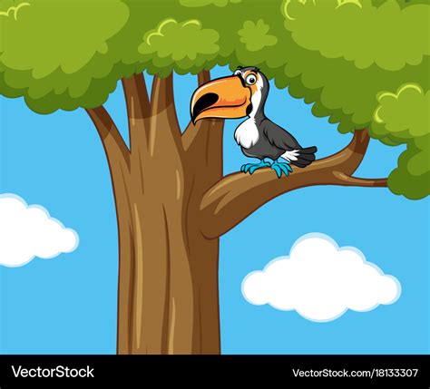 Toucan bird on the tree branch Royalty Free Vector Image