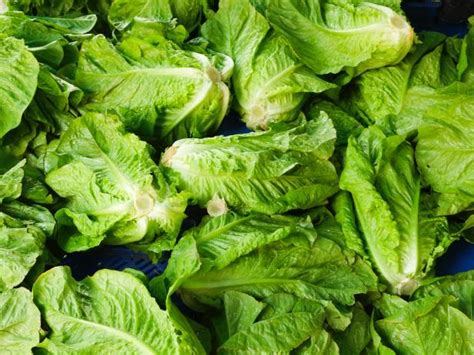 How to Keep Lettuce Fresh | Help Around the Kitchen : Food Network | Food Network