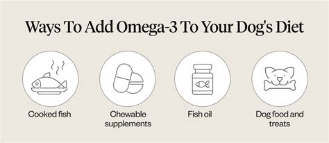 Omega-3 For Dogs: Benefits & Risks Of Fatty Acids | Dutch