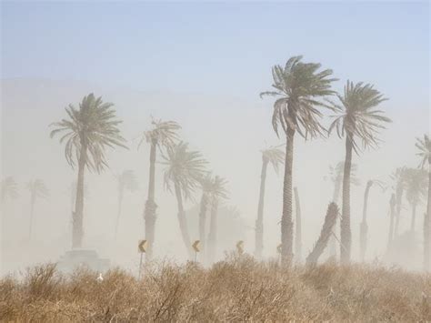 Will It Rain In Palm Desert Area Over President's Day Weekend? | Palm ...