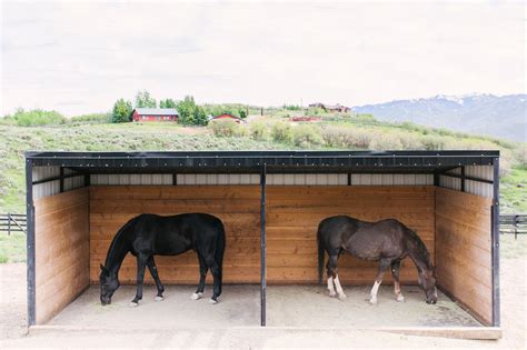 Run In Shed Design - Your Horse Farm | Horse run in shelter, Horse shelter, Small horse barns