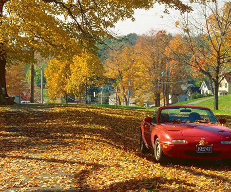 Connecticut Fall Foliage Driving Tours