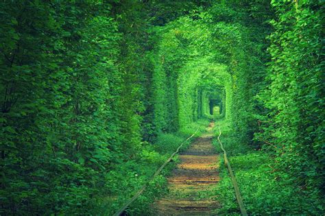 Tunnel of Love Ukraine Wallpaper - WallpaperSafari