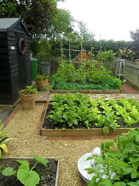 a garden filled with lots of green plants