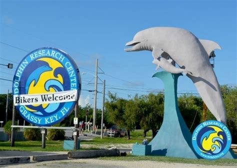 Dolphin Research Center in Marathon, Florida - Kid-friendly Attractions ...