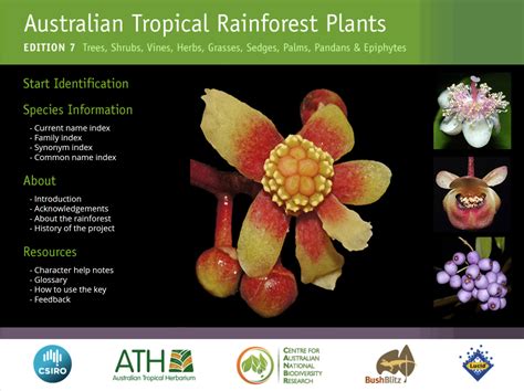 Australian Tropical Rainforest Plants website - Ecobits Australia