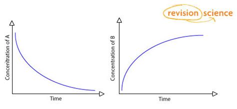 Initial Rate Of Reaction Graph