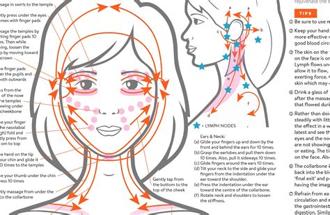 Lymph Drainage Gua Sha Facial Chart | ubicaciondepersonas.cdmx.gob.mx