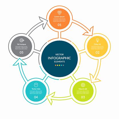 Simple Infographic Circle With 5 Steps Vector Circular Template Round Chart Cycle Diagram Stock ...