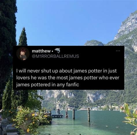 James Potter: The Marauders Era