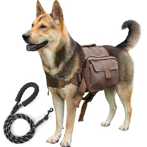 How Do You Backpack With A Dog