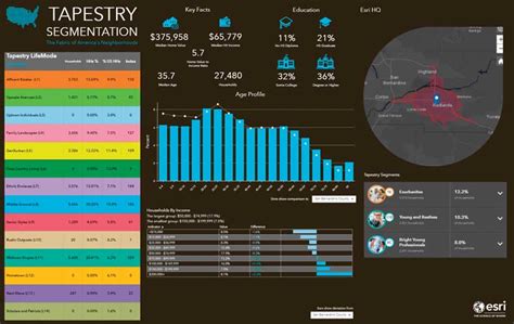 Top 10 Business Analyst Infographic Features