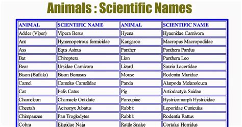 VEENA V NAIR: Animals : Scientific Names