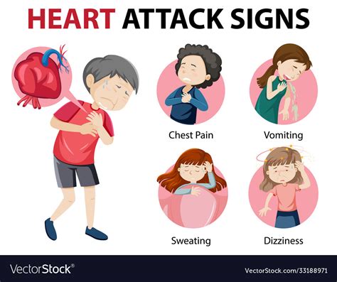 Heart attack symptoms or warning signs infographic