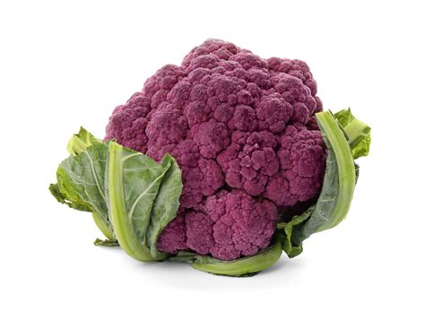 Purple Graffiti Cauliflower Premium Seed Packet Great for Kids! · Sherwood's Seeds · Online ...