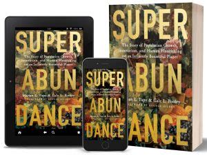 Superabundance Book Review - Expensivity