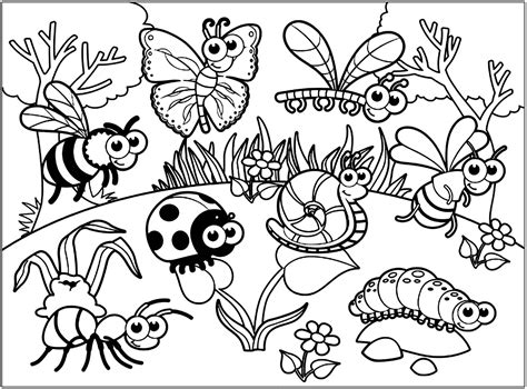 Various insects - Butterflies & insects Adult Coloring Pages