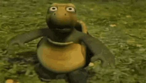 Turtle GIF - Turtle - Discover & Share GIFs