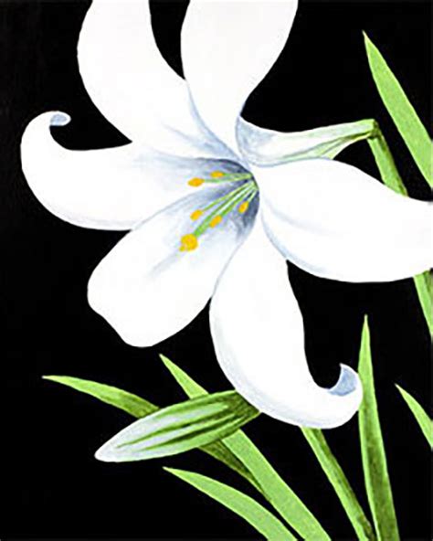 Spring - Easter Lily