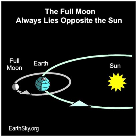 4 keys to understanding moon phases | Entire Strength