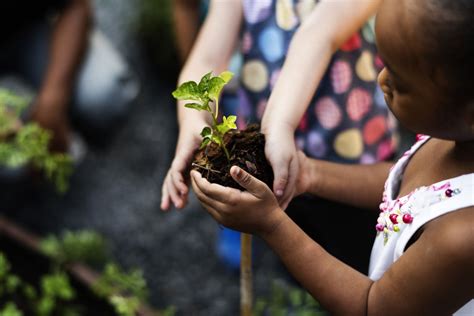 Want to Fight Climate Change? Plant 1 Trillion Trees. | Live Science