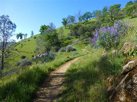 Hiking from Sky Harbor along Millerton Lake | Sierra News Online