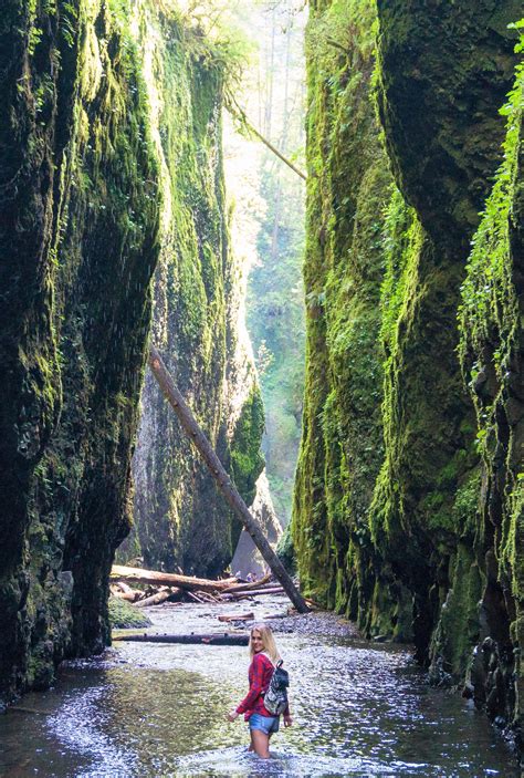 10 Amazing Waterfall Hikes In Oregon | Oregon road trip, Oregon travel ...