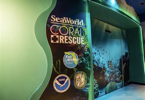 SeaWorld Orlando opens state-of-the-art Coral Rescue Center