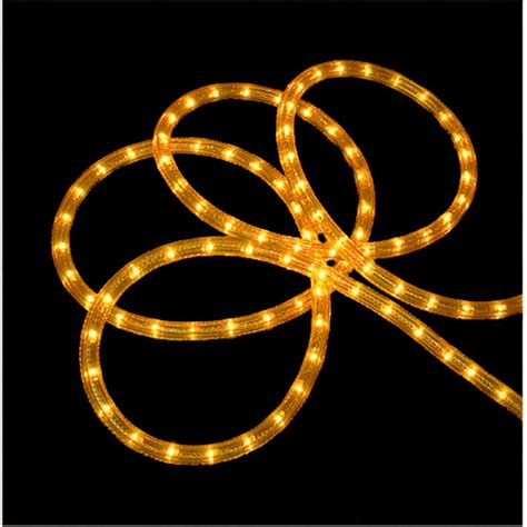 102' Gold Indoor/Outdoor Christmas Rope Lights | Walmart Canada