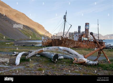 Old whaling station, Grytviken, South Georgia, South Atlantic Stock ...